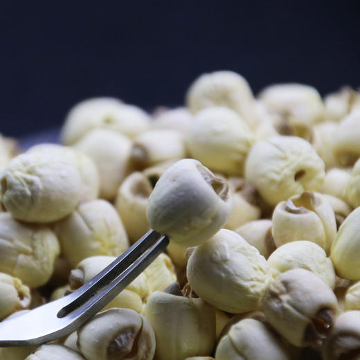 [最农公社]福建宁德通心白莲子 通芯率高 免浸泡粉糯香甜 商品图3