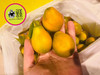 🛵脆蜜金柑🍊3A纯甜大金桔，无籽多汁 商品缩略图7