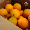 生态脐橙（九月红，酸甜） | 合作生产 *Eco-orange | Coproduction 商品缩略图5