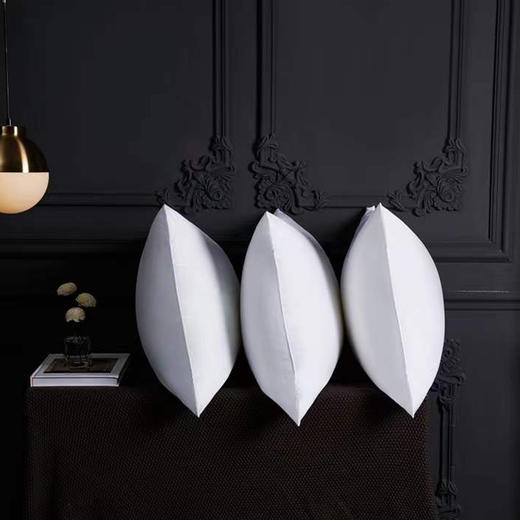 啄木鸟(PLOVER)酒店羽绒枕-单只ZMN-ZX004 商品图1