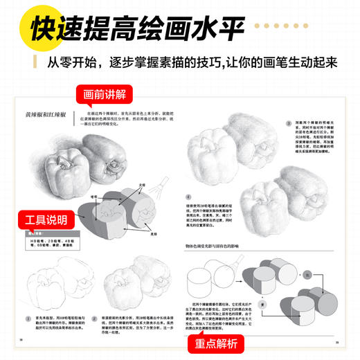 素描入门教程 光影色调 素描基础教程素描书入门铅笔手绘素描光影色调静物速写临摹画册范本画画入门自学*基础 商品图4