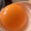 散养土鸡蛋 不吃食料 五谷杂粮喂养、30枚/份 乌鸡蛋、粉壳蛋 商品缩略图1