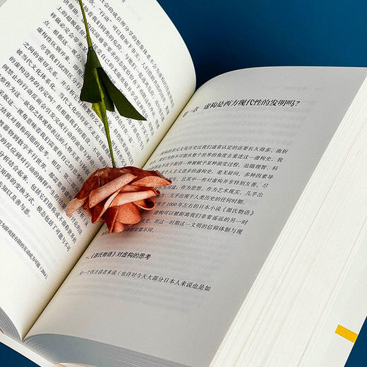 事实与虚构 论边界 弗朗索瓦丝·拉沃卡 第16届傅雷翻译出版奖社科奖 商品图7