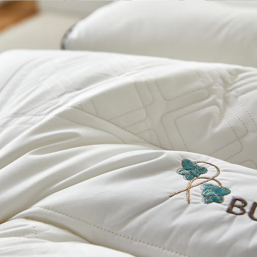 啄木鸟(PLOVER)全棉荞麦助眠枕ZMN-ZX008 商品图4