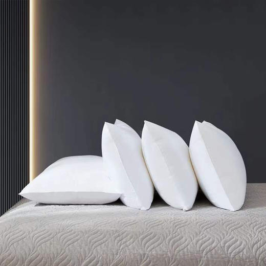 啄木鸟(PLOVER)酒店羽绒枕-单只ZMN-ZX004 商品图3