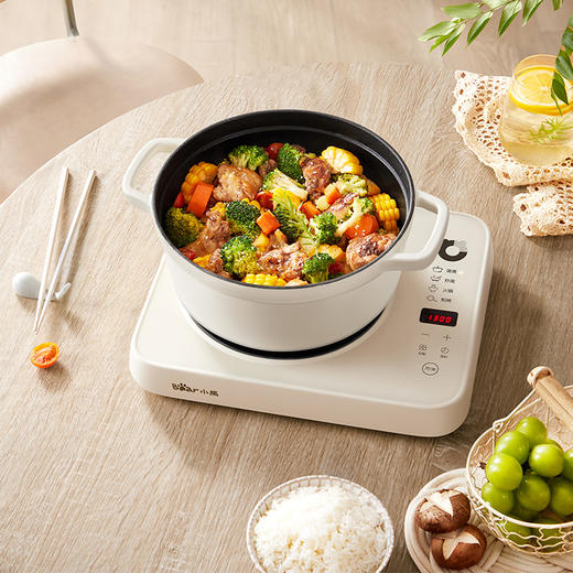 【小程序】小熊(Bear)电磁炉 家用大功率2200W 火锅炉 电磁灶 智能定时 电灶防水黑色微晶面板DCL-B22H5 商品图4