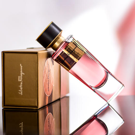 菲拉格慕 托斯卡纳系列-歌剧魅影 Salvatore Ferragamo Gentil Suono 分装 商品图4