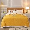 啄木鸟(PLOVER)塔棉绒加厚毛毯-桔黄色ZMN-RT003 商品缩略图0