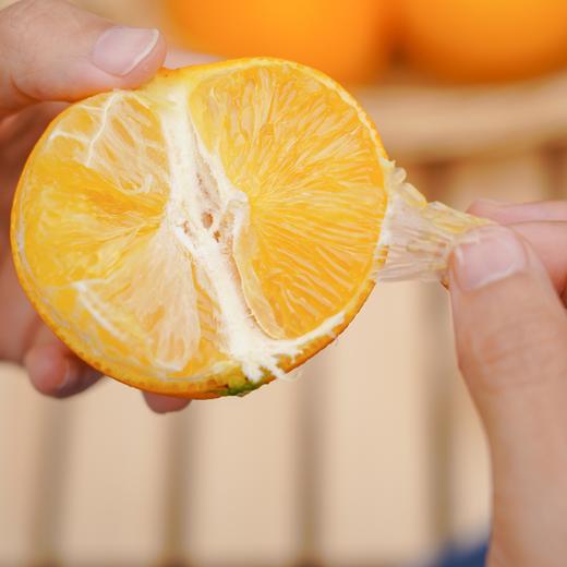 美人回归！皮薄飙汁【红美人】福建平和 30年蜜柚老树嫁接！香气浓郁 肉质饱满 皮薄易剥 甘甜水嫩 商品图7