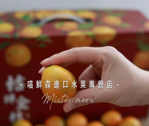 🛵脆蜜金柑🍊3A纯甜大金桔，无籽多汁 商品图4