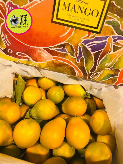 🛵脆蜜金柑🍊3A纯甜大金桔，无籽多汁 商品图9