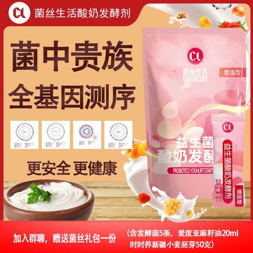 菌丝生活增强型发酵剂*2包+酸奶机（304不锈钢内胆）10g/包 商品图0