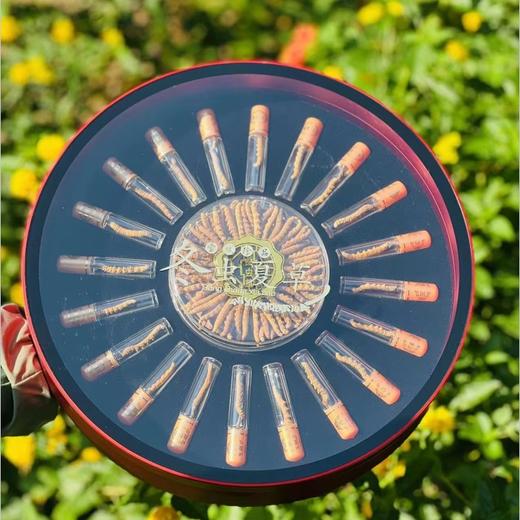 虫草誉为“草中黄金”“软黄金”，LES GRÂCES冬虫夏草高级礼盒，甄选世界公认的虫草黄金产区“西藏那曲”，海拔4450以上，环境无污染，生长周期长，吸收的营养更多，四对足清晰，虫体饱满！ 商品图3