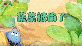 2023年12月蔬菜被偷了