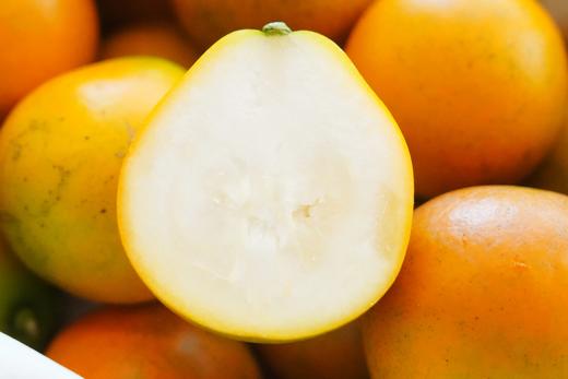 2025年新产季融安脆蜜金桔 商品图1