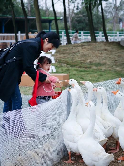 即买即用 / 提前1小时！国庆可用~【鹅的假日农场】周年庆×迎国庆，仅需29元/人起，穿越千年，梦回大秦~快带孩子领略兵马俑背后的历史故事，带走这份独特的记忆。 商品图7