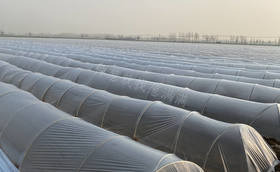 天气变冷大葱苗床搭建小拱棚有哪些注意事项?