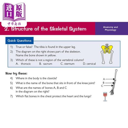 【中商原版】英国原版CGP教辅 新年级9-1 GCSE体育爱德思修订问题卡New Grade 9-1 GCSE Physical Education Edexcel Cards 商品图3