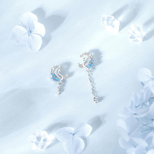 【星河天鹅】S925银流苏耳饰【JHY-E000634B】 商品图1