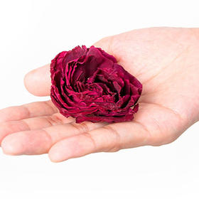 丽江程海 有机冻干玫瑰花冠茶