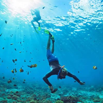 马来西亚沙巴美人鱼岛丝绸度假村2日游 商品图3