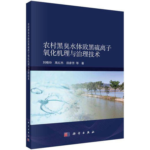 农村黑臭水体致黑硫离子氧化机理与治理技术 商品图0