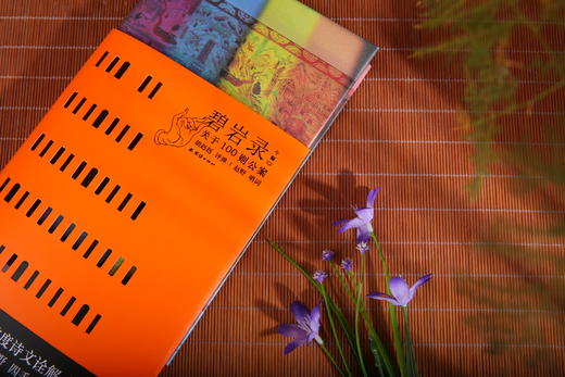 《碧岩录今释》 商品图4