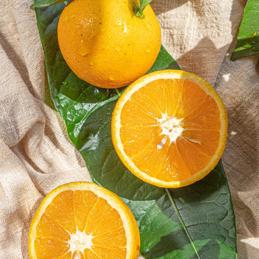 【九月红—秭归脐橙】一口爆汁的橙色，多汁肉嫩、细嫩无渣、酸甜可口、橙香浓郁 商品图3