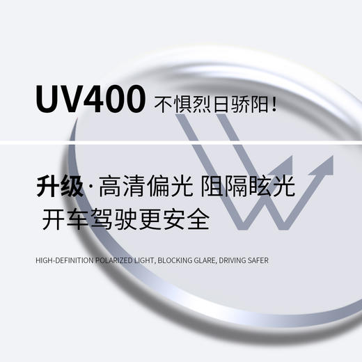 zippo高清时尚太阳镜Z11124_53_gy 商品图1