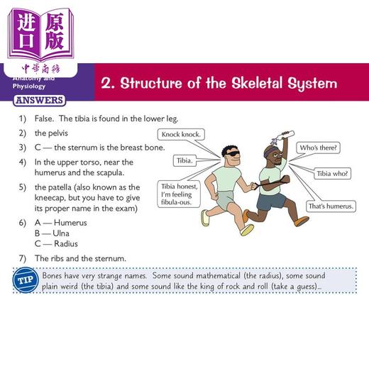 【中商原版】英国原版CGP教辅 新年级9-1 GCSE体育爱德思修订问题卡New Grade 9-1 GCSE Physical Education Edexcel Cards 商品图4