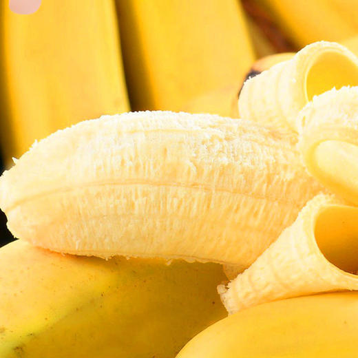 【解馋又解饿！新鲜水果香蕉】鲜香软糯焦型饱满，果香怡人软糯甜蜜，肉质细腻个头饱满，香甜可口，软糯水果小香蕉非美人蕉健康 商品图3