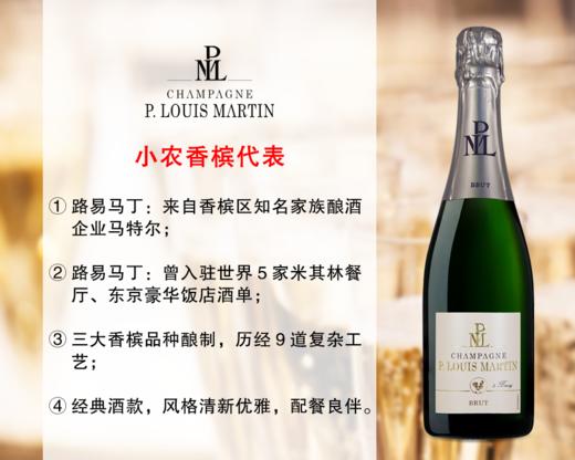 【现货促销，仅限12瓶】小农香槟代表品牌：路易马丁干型香槟 商品图0