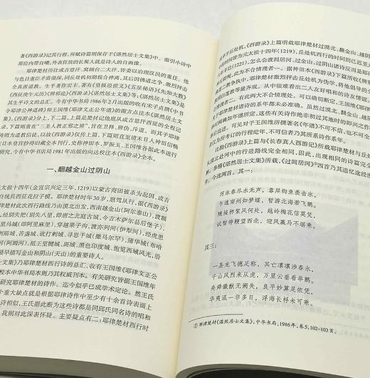 《历代西域咏边诗研究》（上下）16开平装，薛宗正著，新疆人民出版社2017年一版一印，售价188元。 商品图5