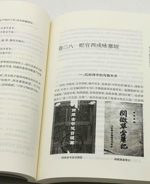 《历代西域咏边诗研究》（上下）16开平装，薛宗正著，新疆人民出版社2017年一版一印，售价188元。 商品图6