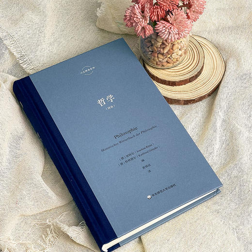 哲学 里特尔 六点辞条系列 哲学历史辞典 商品图4