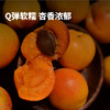 阿克苏吊干杏 自然造物 风味自成 一杏两吃 甜而不腻 300/袋 商品缩略图1