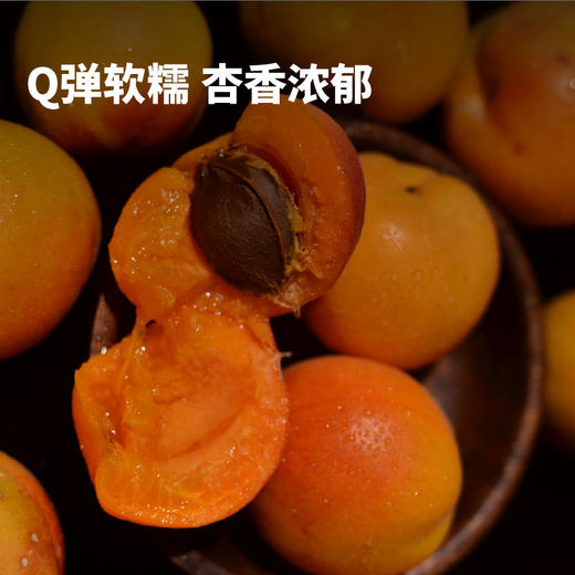 阿克苏吊干杏 自然造物 风味自成 一杏两吃 甜而不腻 300/袋 商品图1