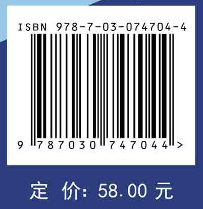 基于特权信息的灰色支持向量机 商品图2