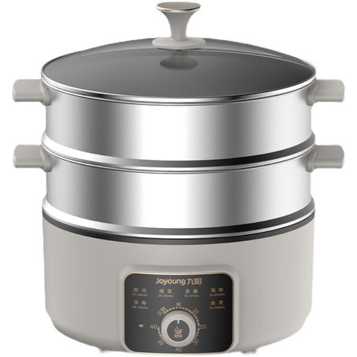 九阳电蒸锅DZ50HG-GZ355 商品图8