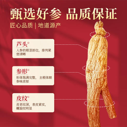 热卖【红参高丽参原支】长白山人参无糖红参原支礼盒 商品图2