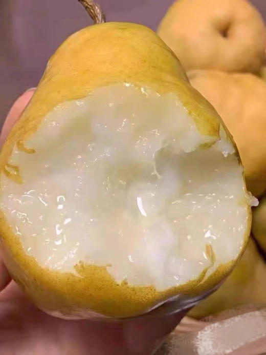 中华丑梨号称是梨界的释迦，虽然长的丑，但是味道超级好，超甜还无渣，可以用勺子挖着吃，口感爆了，软糯香甜，入口软绵，甘甜无渣，放软后的丑梨如同在吃天然的冰淇淋！净约5斤 商品图0