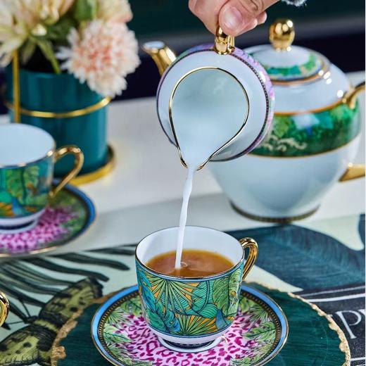 2024款雨林系列咖啡器 商品图3