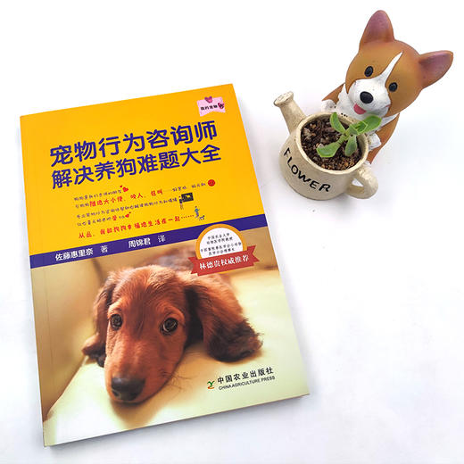 宠物行为咨询师解决养狗难题大全（我的宠物书） 商品图1