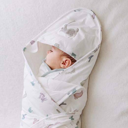 Nest Designs初生婴儿抱被夹棉新生儿包被防惊跳襁褓小宝宝抱被 商品图3