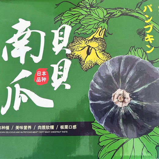 丽江拉市 高原贝贝南瓜 商品图5