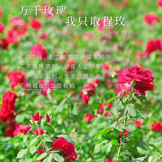 丽江程海 有机冻干玫瑰花冠茶 商品图4