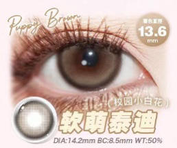 日抛 PuffGirl 软萌泰迪 14.2 着色13.6 商品图0