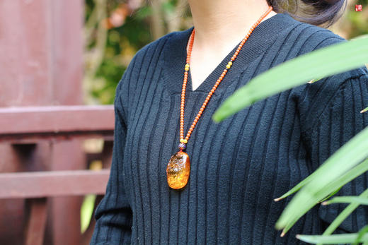 金珀【龙龟】吊坠，配保山南红珠链 商品图4