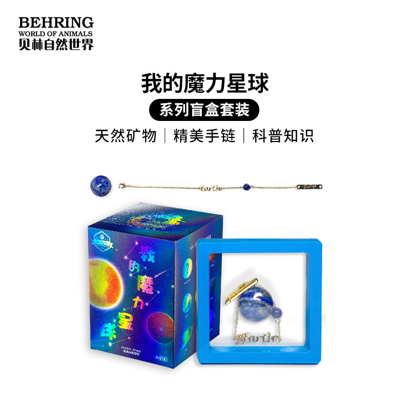 我的魔力星球系列盲盒套装