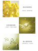 摩登红人蜡菊融颜洁面乳100ml 洗面奶清洁毛孔保湿官方正品 商品缩略图2